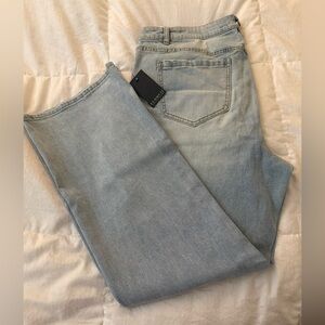 Eloquii Sky Blue Denim Pants